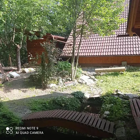 Vidlak *