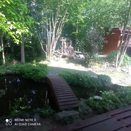 Vidlak Holiday home Cerniny